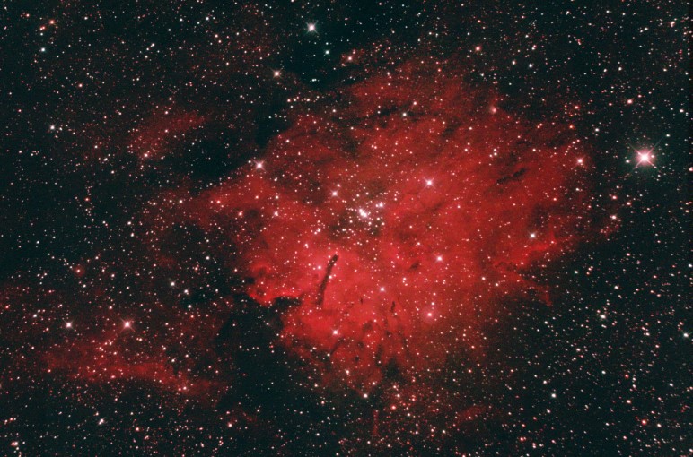 NGC_6823 (510)